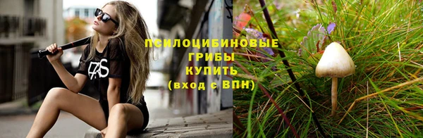 молекула духа Балахна