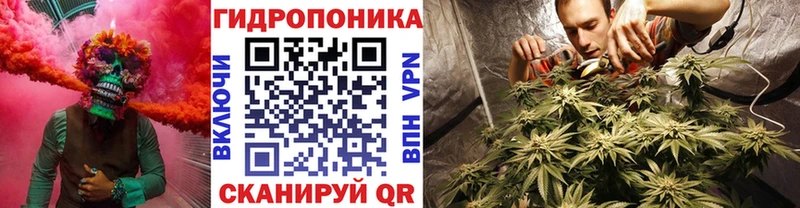 блэк спрут ССЫЛКА  Североуральск  Шишки марихуана сатива 